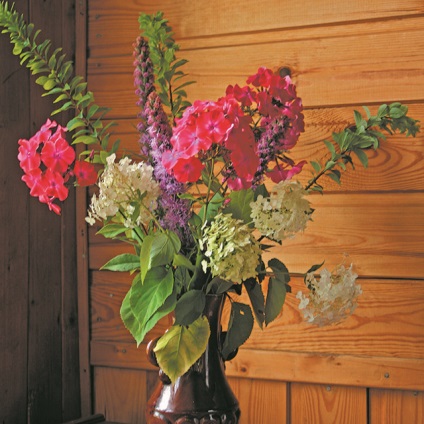 DIY (plante sunt zile) Fa-te