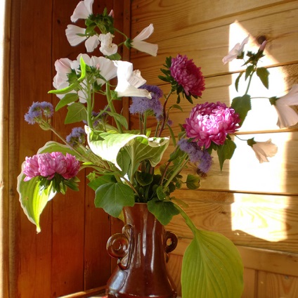 DIY (plante de apă sunt zile) Fa-te
