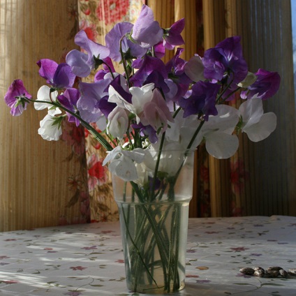 Do It Yourself (buchet) Fa-te