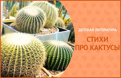 Poezii despre cactus pentru copii