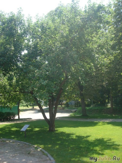 Tarasova de munte în Kanev călătorie mondială - rețeaua socială a femeilor (o astfel de frumusețe peste tot) Tarasova de munte în Kanev călătorie mondială - femeii Rețeaua socială