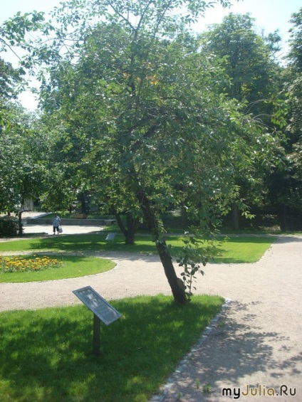 Tarasova de munte în Kanev călătorie mondială - rețeaua socială a femeilor (Kano) Tarasova de munte în Kanev călătorie mondială - femeii Rețeaua socială