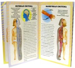 Corpul uman (tutoriale) Corpul uman