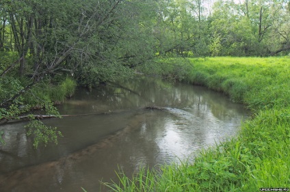 Tenkara propriile mâini (dințate) Tenkara mâinile proprii