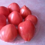 Tomate Pops (50 poze) descrierea soiului, care au plantat tomate, recenzii, video (soi) Tomate Pops (50 poze) descrierea soiului, care au plantat tomate, recenzii, video