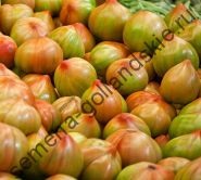 Tomate cultivar - Marmande - (Marmande) 10 semințe