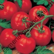 Tomate cultivar - Marmande - (Marmande) 10 semințe (Marmande) Tomate cultivar - Marmande - (Marmande) 10 semințe