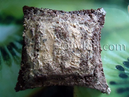 Tort pad de mastic (tort) Tort strat de mastic