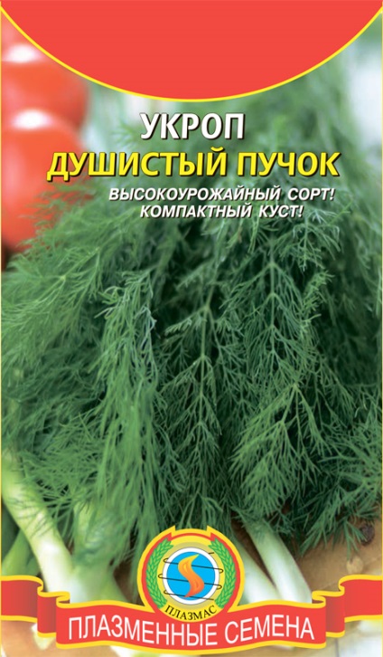 beam parfumat Dill (fascicul) fascicul de marar parfumată