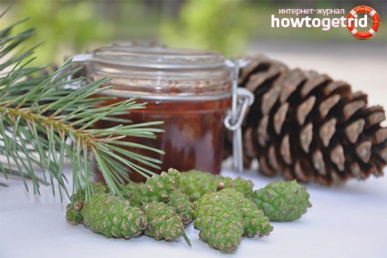 conuri de pin Jam 8 rețete (conuri de pin gem de reteta clasica) Dulceata de conuri de pin 8 rețete