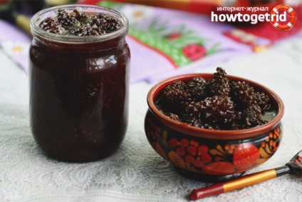 conuri de pin Jam 8 rețete (zahăr de băut) Dulceata de conuri de pin 8 rețete