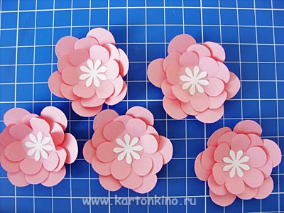 Vaze de flori (flori) Vas cu flori