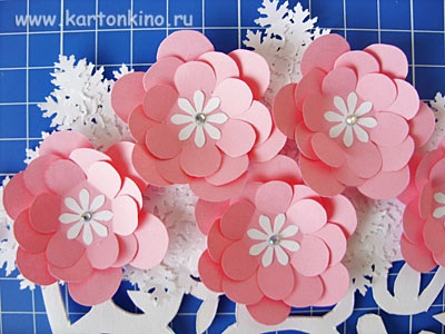 Vaze de flori (flori) Vas cu flori