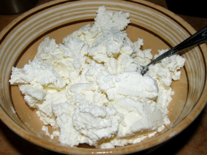 Tipuri de brânză (organism foarte util) tipuri de brânză