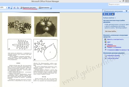 Modele de culori ale pielii cu mâinile sale, un blog Natalya Gutsalyuk (piele) Modele de culori ale pielii cu mâinile sale, un blog Natalya Gutsalyuk