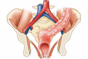 prolaps rectal la copii cauze, simptome si tratament de prolaps rectal