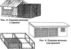 Aviary pentru pauni cu mâinile lor fotografie