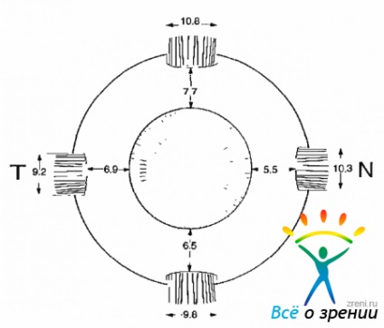 Anatomia chirurgicala (e) anatomia chirurgicală