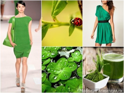 Culoarea verde în haine (îmbrăcăminte verde este) îmbrăcăminte verde