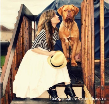 Pentru femei Trilby pălărie (Trilby) - o fotografie care este și ce să poarte (femei pălărie Trilby Trilby) Pentru femei Trilby pălărie (Trilby) - o fotografie care este și ce să poarte