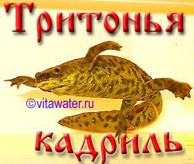 Living Water () apă vie