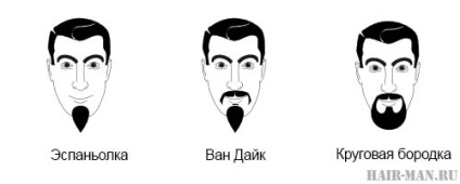 Barbișon barba - cum specie (do) Barbișon barba - cum specii