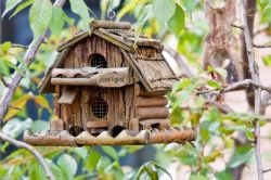 Cum sa faci o Birdhouse propriile sale mâini