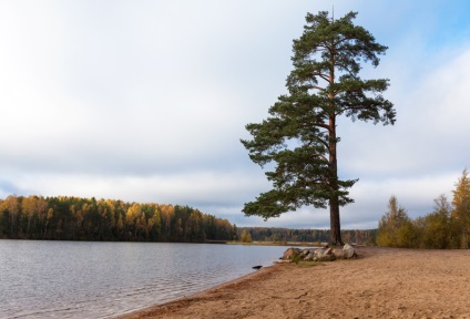 Vand teren lângă lac, în măsura în care este posibil