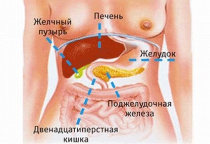 Дієві методи та поради щодо лікування запалення підшлункової залози