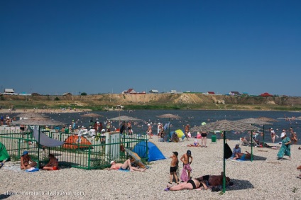 stepe Orenburzhskie și sare-Iletsk, viata de pe fotografie