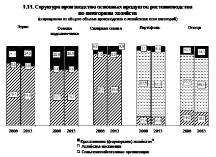producția de cartofi în business-ul românesc în 2014 (tone astfel) producția de cartofi în business-ul românesc în 2014