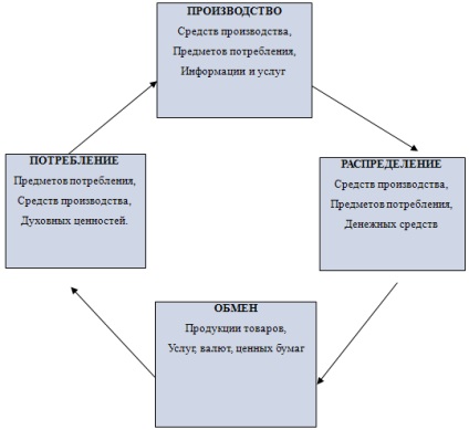 Introducere, fundamentele economiei în sfera economiei naționale