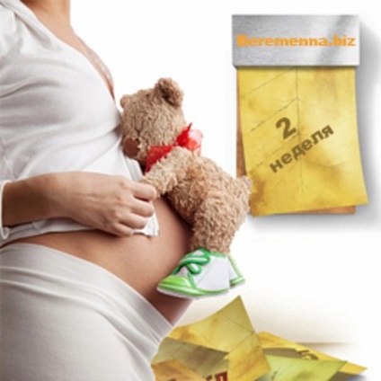 2 săptămâni de simptomele sarcinii (saptamana termen de sarcina) 2 saptamani de simptomele sarcinii