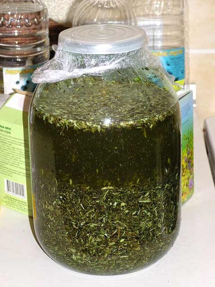 Absinthe la domiciliu - bază de rețetă și tehnologie (absint) Absinthe la domiciliu - bază de rețetă și tehnologie