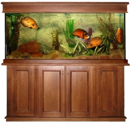 cabinet de acvariu (acvariu dulap) cabinet de acvariu