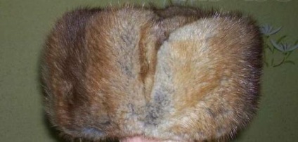 Scatiu și elită-cafeniu capac (Finch-cafeniu) Scatiu, Fawn și capac de elită