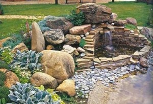 Ce este rockeries, o fotografie a speciei sale, atât pentru a construi propriile sale mâini (a) Ce este rockeries, o fotografie a speciei sale, atât pentru a construi propriile sale mâini