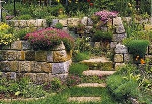 Ce este rockeries, o fotografie a speciei sale, atât pentru a construi propriile sale mâini (rockeries cu mâinile) Ce este rockeries, o fotografie a speciei sale, atât pentru a construi propriile sale mâini