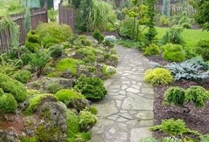 Ce este rockeries, o fotografie a speciei sale, atât pentru a construi propriile sale mâini (rockeries cu mâinile) Ce este rockeries, o fotografie a speciei sale, atât pentru a construi propriile sale mâini