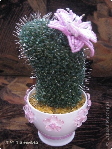 Înflorite cactus (microni), comandanții de țară (8 martie) Înflorite cactus (microni), Maestrii țară
