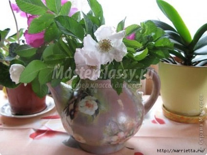 Decorați vechi Kettle (vechi) Decorați un ceainic vechi