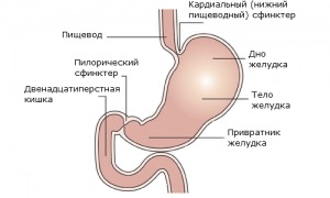 Distal sipotomy esofagita cronică și tratamentul diferitelor grade dieta (distal) Distală sipotomy esofagita cronică și tratamentul de diferite grade, dieta