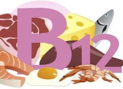 De ce nevoia organismului de a vitamina B12 (vitamina) De ce este nevoie pentru organism vitamina B12
