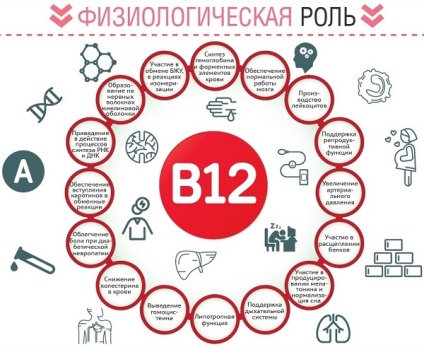 De ce nevoia organismului de a vitamina B12 (obligatoriu) De ce este nevoie pentru organism vitamina B12