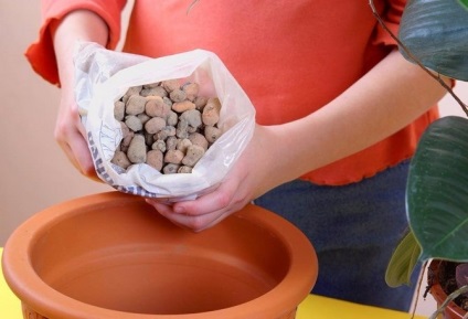 Drenaj pentru ghivece cu plante (Sfaturi pentru începători) Drenajul pentru ghivece cu plante