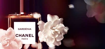 Parfum Chanel (Elemente de potrivire chanel), cele mai populare arome (populare) Parfum Chanel (Chanel) arome dintre cele mai cunoscute