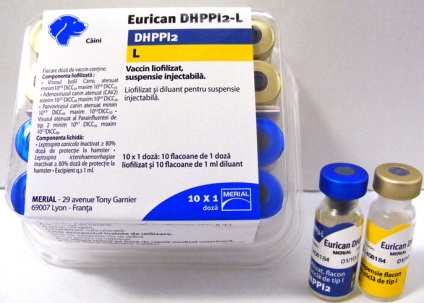 descriere Eurikan câine, instrucțiuni, pret, totul despre caini (EURIKAN) descriere Eurikan câine, instrucțiuni, pret, totul despre câini