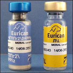 Eurikan, instruire, descriere, preț (preț) Eurikan, instruire, descriere, pret