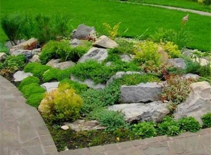 Fotografii de design peisagistic - soiurile Rockeries la cabana lor de vară (fotografie de design peisaj) Fotografii de design peisagistic - soiurile rockeries la cabana lor de vară