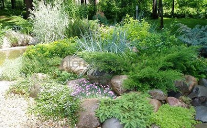 Fotografii de design peisagistic - soiurile rockeries la cabana lor de vară (peisagistică fotografie grădina) Fotografii de design peisagistic - soiurile rockeries la cabana lor de vară